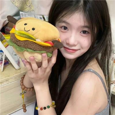 宝嘉先生